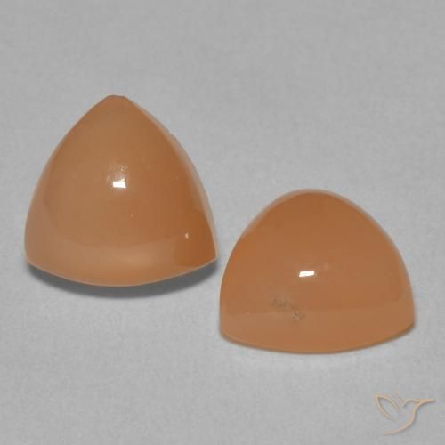 3.71 ct natürliche Cantaloupe-Orange Mondstein-Edelsteine, Trillion, Lichtdurchlässig