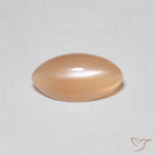 1.38ct Natürlicher Cantaloupe-Orange Mondstein, Marquise, Lichtdurchlässig