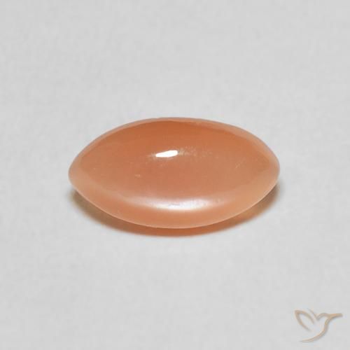 1.11ct Natürlicher Cantaloupe-Orange Mondstein, Marquise, Lichtdurchlässig