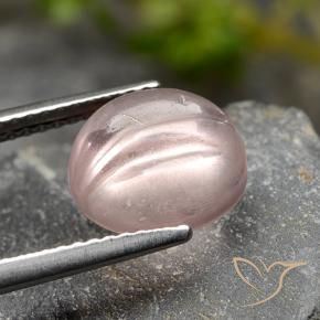 9,17 ctw natürlicher Helles Korallenrosa Morganit, Runden, Transparent