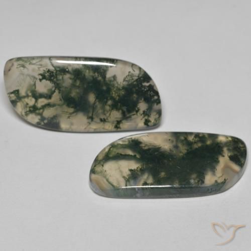 33.46 ct natürliche Mehrfarbig Moosachat-Edelsteine, Fantasie, Transparent