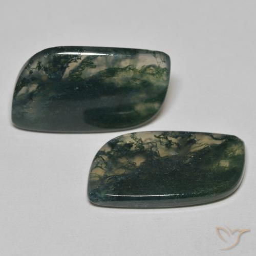 22.84 ct natürliche Mehrfarbig Moosachat-Edelsteine, Fantasie, Transparent