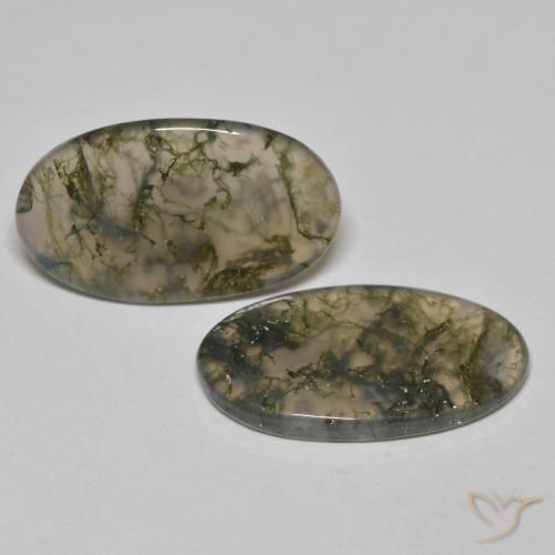 19.45 ct natürliche Mehrfarbig Moosachat-Edelsteine, Oval, Transparent