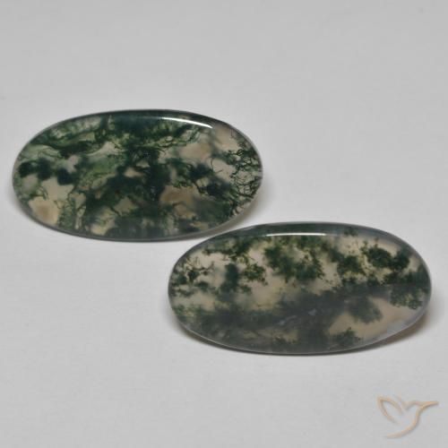 24.09ctw Natürlicher Mehrfarbig Moosachat, Oval, Transparent