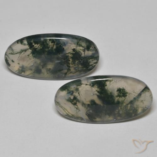 24.65ctw Natürlicher Mehrfarbig Moosachat, Oval, Transparent