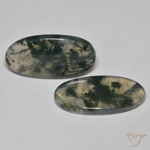 24.65 ct natürliche Mehrfarbig Moosachat-Edelsteine, Oval, Transparent