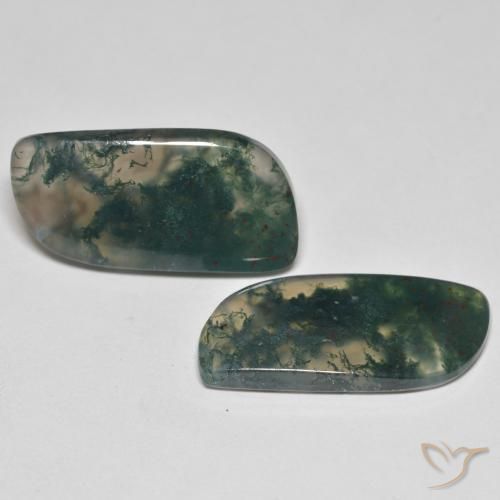 19.80 ct natürliche Mehrfarbig Moosachat-Edelsteine, Fantasie, Transparent