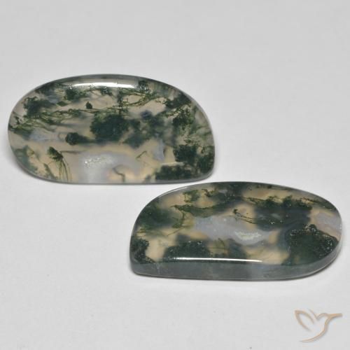 23.30 ct natürliche Mehrfarbig Moosachat-Edelsteine, Fantasie, Transparent