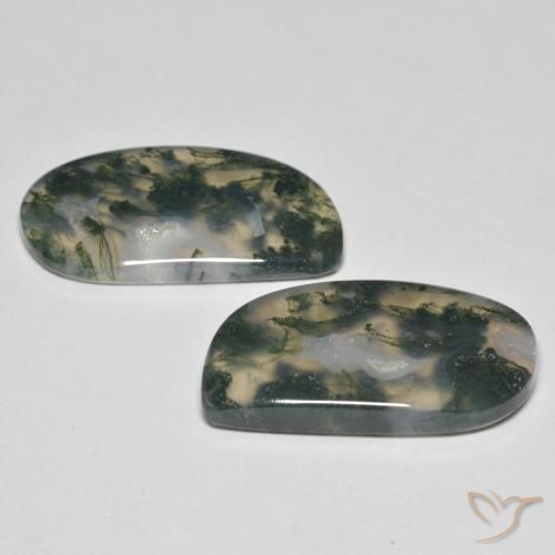 23.30 ct natürliche Mehrfarbig Moosachat-Edelsteine, Fantasie, Transparent