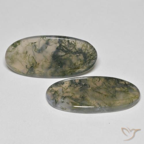 26.37 ct natürliche Mehrfarbig Moosachat-Edelsteine, Oval, Transparent