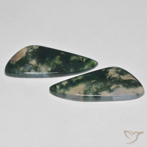 23.57 ct natürliche Mehrfarbig Moosachat-Edelsteine, Fantasie, Transparent