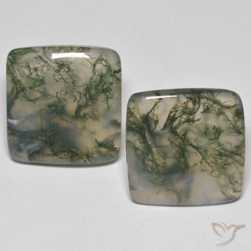 24.59 ct natürliche Mehrfarbig Moosachat-Edelsteine, Quadrat, Transparent