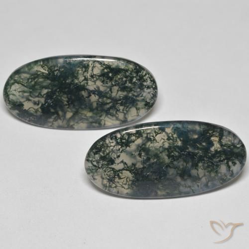 25.55ctw Natürlicher Mehrfarbig Moosachat, Oval, Transparent
