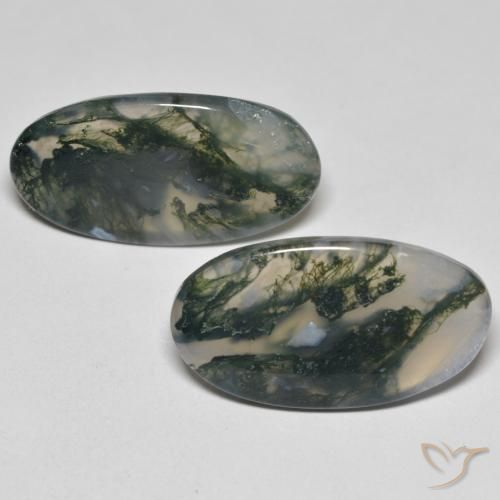 23.37ctw Natürlicher Mehrfarbig Moosachat, Oval, Transparent