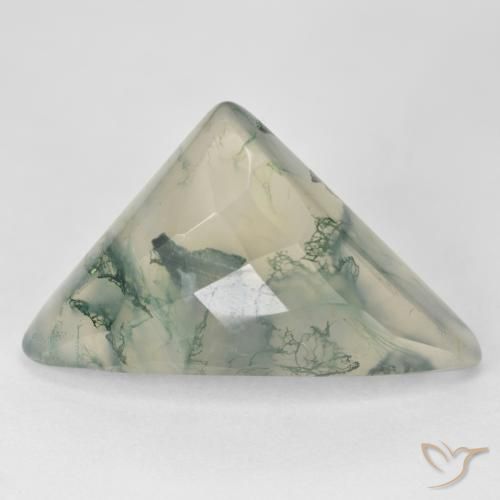 17.68ct Natürlicher hellgrün Moosachat, Trillion, Lichtdurchlässig