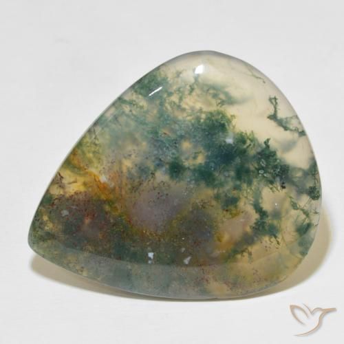 49.60ct Natürlicher Mehrfarbig Moosachat, Birnenform, Lichtdurchlässig