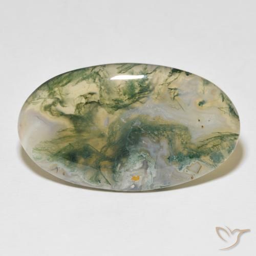 48.97ct Natürlicher Mehrfarbig Moosachat, Oval, Lichtundurchlässig