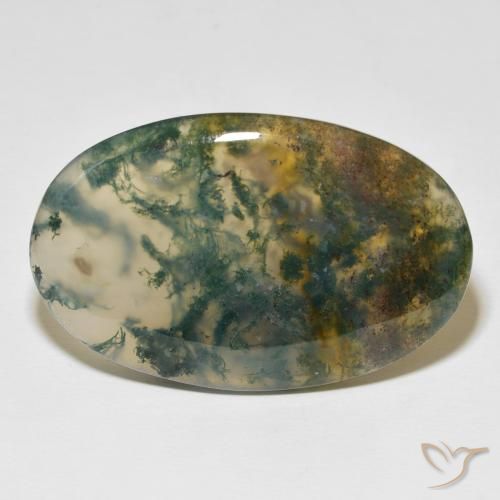 63.36ct Natürlicher Mehrfarbig Moosachat, Oval, Lichtdurchlässig