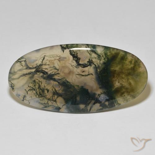 83.26ct Natürlicher Mehrfarbig Moosachat, Oval, Lichtundurchlässig