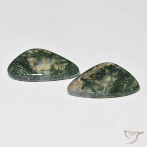 19.96 ct natürliche Mehrfarbig Moosachat-Edelsteine, Fantasie, Lichtdurchlässig