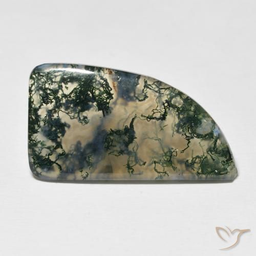 12.73ct Natürlicher Mehrfarbig Moosachat, Fantasie, Lichtdurchlässig