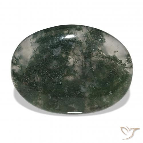 39.60ct Mehrfarbig Moosachat, Oval, Lichtdurchlässig