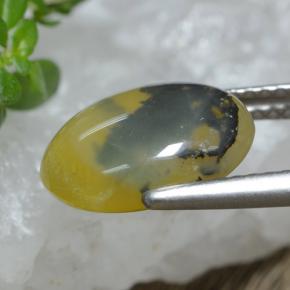9,17 ctw natürlicher Gelber Dendriten Moss Opal, Oval Schliff, Lichtdurchlässig