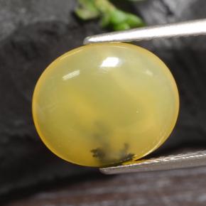 3,65 ctw natürlicher gelber Moosopal, Oval Schliff, Lichtdurchlässig