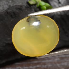 3,65 ctw natürlicher gelber Moosopal, Oval Schliff, Lichtdurchlässig