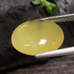 3,65 ctw natürlicher gelber Moosopal, Oval Schliff, Lichtdurchlässig