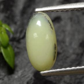 9,17 ctw natürlicher Gelbe Dendriten Moosopal, Oval Schliff, Lichtdurchlässig