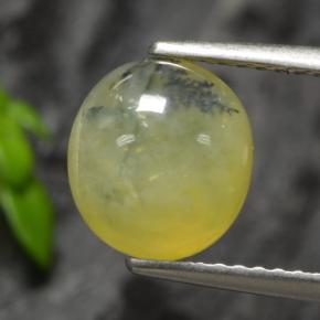 9,17 ctw natürlicher Gelber Dendriten Moss Opal, Oval Schliff, Lichtdurchlässig