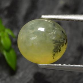 9,17 ctw natürlicher Gelber Dendriten Moss Opal, Oval Schliff, Lichtdurchlässig