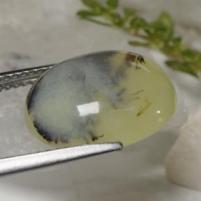 6,23 ctw natürlicher gelber Moosopal, Oval Schliff, Lichtdurchlässig