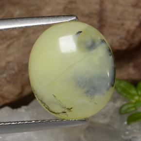 9,17 ctw natürlicher Gelber Dendriten Moosopal, Oval Schliff, Lichtdurchlässig