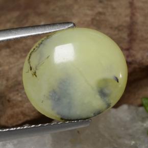 9,17 ctw natürlicher Gelber Dendriten Moosopal, Oval Schliff, Lichtdurchlässig