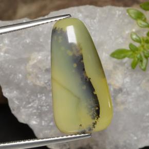 9,17 ctw natürlicher Gelber Dendriten Moss Opal, Ausgefallene Form, Lichtdurchlässig