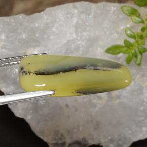 9,17 ctw natürlicher Gelber Dendriten Moss Opal, Ausgefallene Form, Lichtdurchlässig