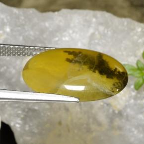 9,17 ctw natürlicher Gelber Dendriten Moss Opal, Oval Schliff, Lichtdurchlässig
