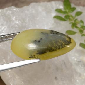 9,17 ctw natürlicher Gelber Dendriten Moss Opal, Birnenform, Lichtdurchlässig