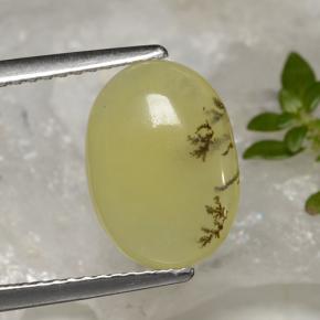 9,17 ctw natürlicher Gelber Dendriten Moss Opal, Oval Schliff, Lichtdurchlässig