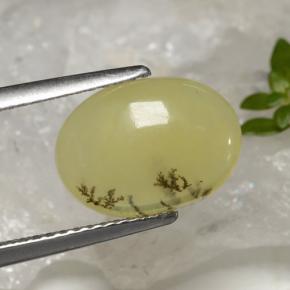 9,17 ctw natürlicher Gelber Dendriten Moss Opal, Oval Schliff, Lichtdurchlässig