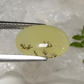 9,17 ctw natürlicher Gelber Dendriten Moss Opal, Oval Schliff, Lichtdurchlässig