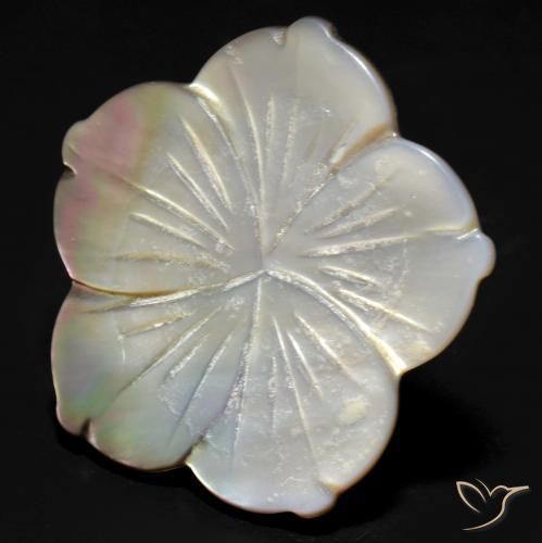 24.27ct Natürlicher Weiß Perlmutt, Blumen-Schliff, Lichtundurchlässig