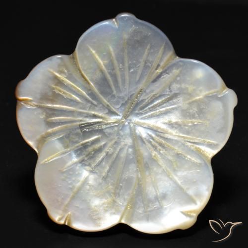 29.23ct Natürlicher Weiß Perlmutt, Blumen-Schliff, Lichtundurchlässig