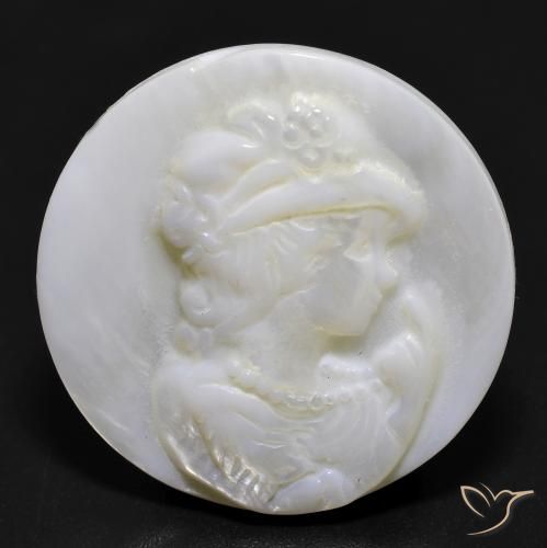 16.81ct Natürlicher Perlweiss Perlmutt, Runden, Lichtundurchlässig