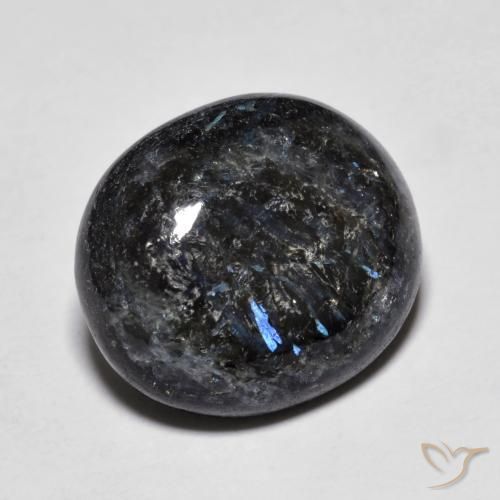 10.98ct Natürlicher Schwarz mit blauem Glanz Nuummit, Oval, Lichtundurchlässig