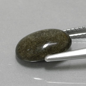9,17 ctw natürlicher gold-schimmernd Obsidian, Oval Schliff, Lichtundurchlässig