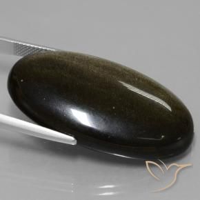 9,17 ctw natürlicher Schwarz mit Goldglanz Obsidian, Oval, Lichtundurchlässig