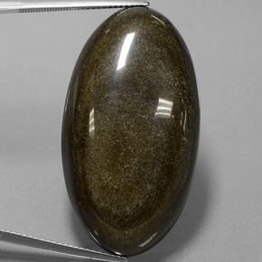 9,17 ctw natürlicher gold-schimmernd Obsidian, Oval Schliff, Lichtundurchlässig
